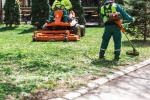 Comment choisir un paysagiste professionnel pour transformer votre jardin ?