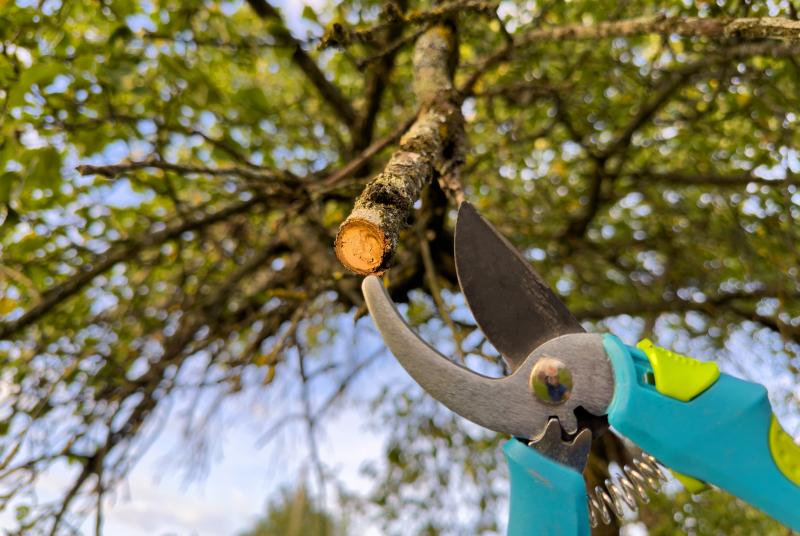 Les secrets d'un entretien de jardin réussi tout au long des saisons