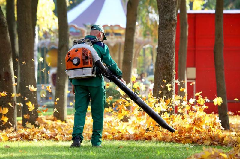 Ramassage des feuilles mortes, pourquoi confier cet entretien &agrave; un professionnel ?