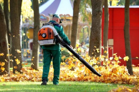Ramassage des feuilles mortes, pourquoi confier cet entretien &agrave; un professionnel ?
